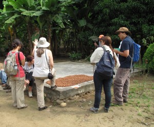 Students observed age-old methods used in the growing and harvesting of cacao, such as the drying of cacao seeds outdoors in the sun. 