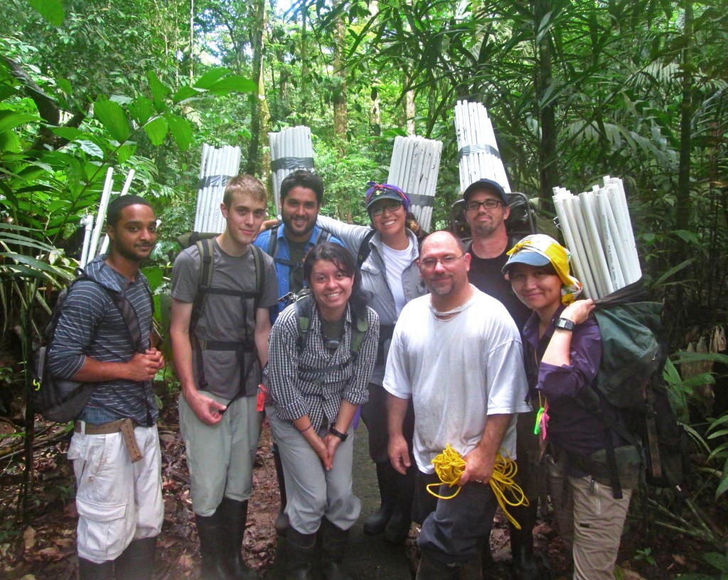Carrying PVC pipe and other materials to build mesh shades are (left to right, back row) Omar Nassir, Dylan Lever, Jaime Perez, Ashley Aranda, Jeremy Emerson, and (front row) Erica Parra, associate professor of biology Terry McGlynn, and Loan Anh Do.