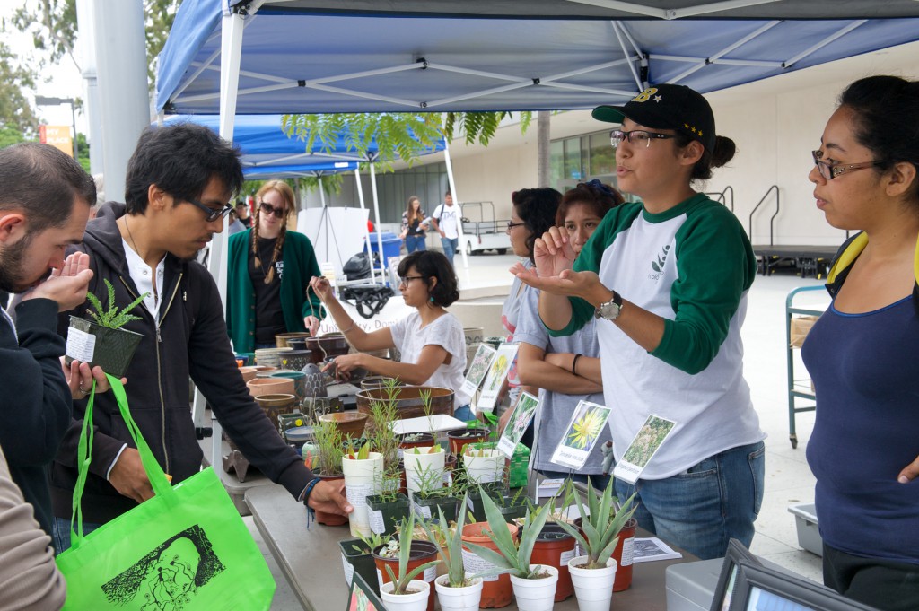 Students learn about native plants during Earth Day 2014 at CSU Dominguez Hills