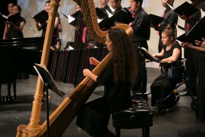 picture of chamber signers with harpist Marica Dickstein