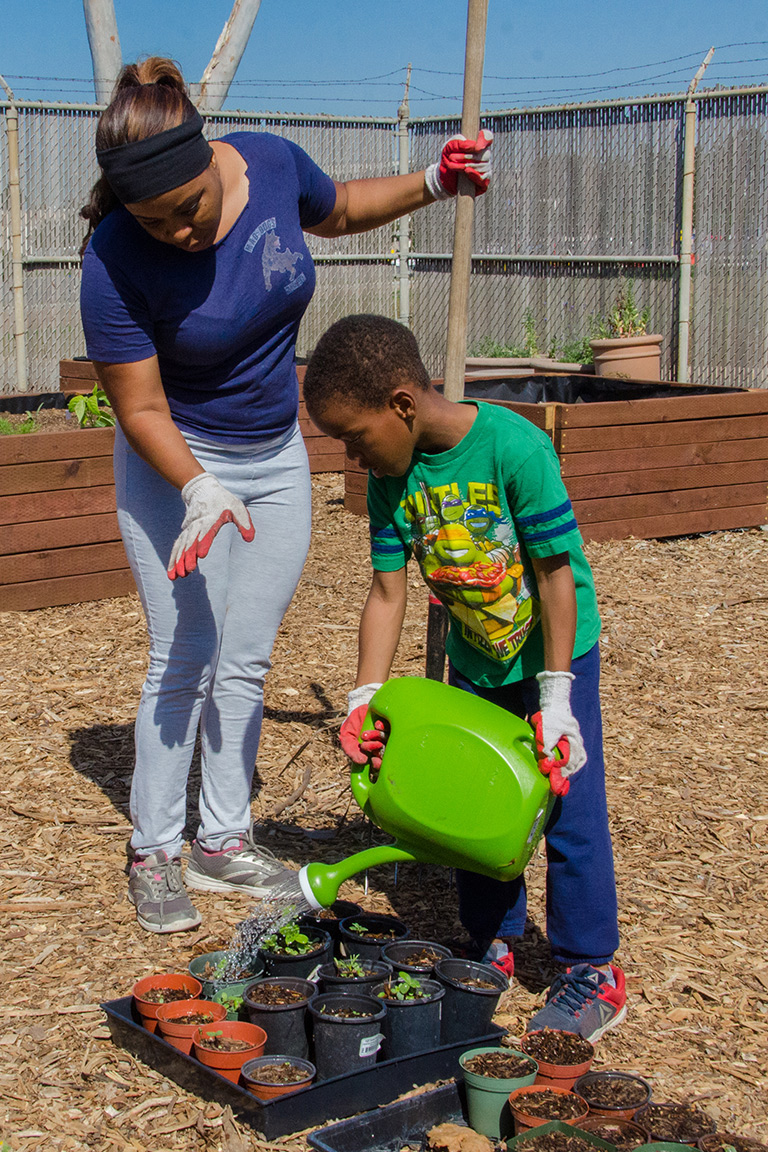 Sociology major Jeanette Zimmerman and her son Josiah water some vegetable sprouts at the Urban Farm.