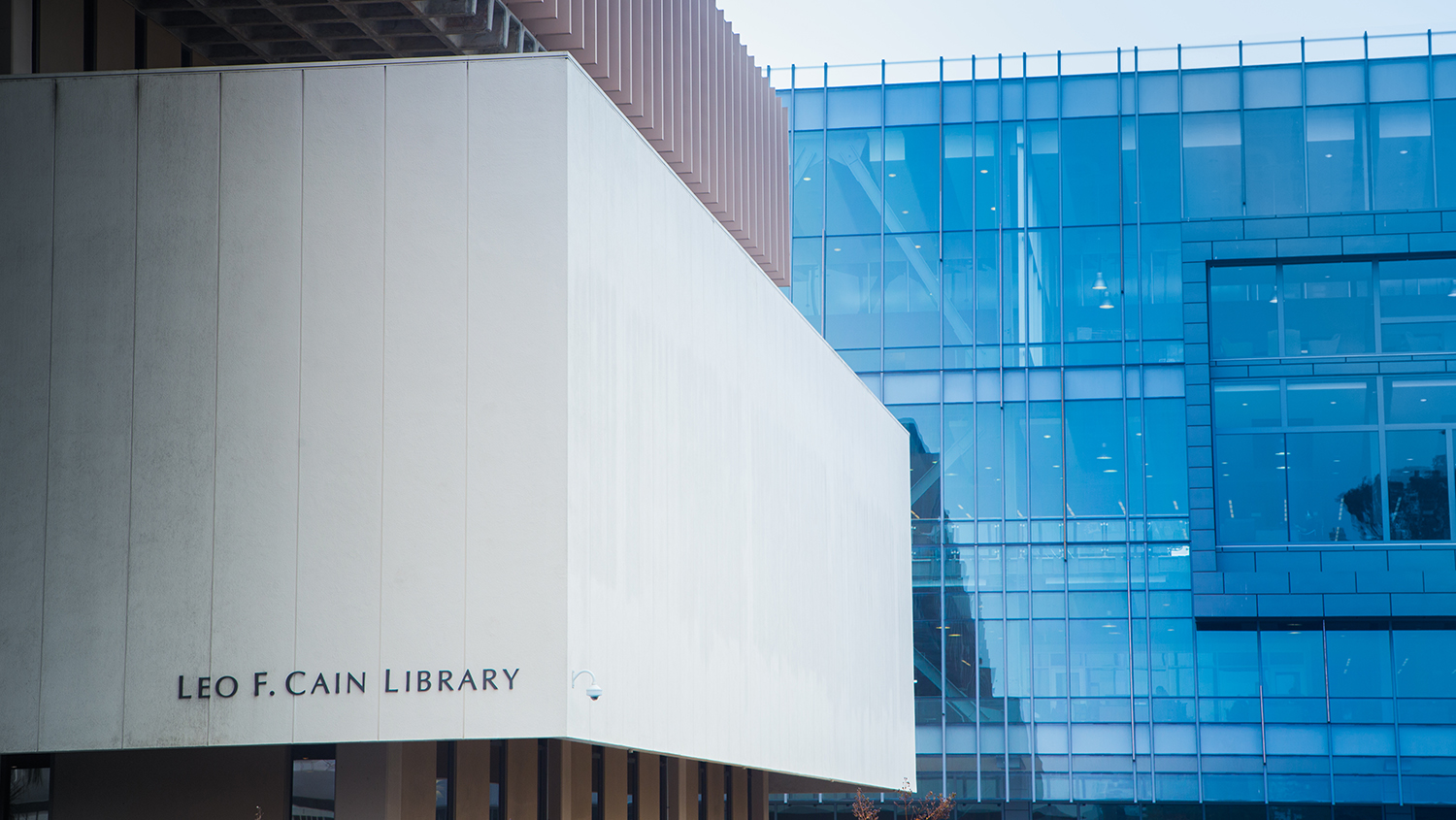 University-Library