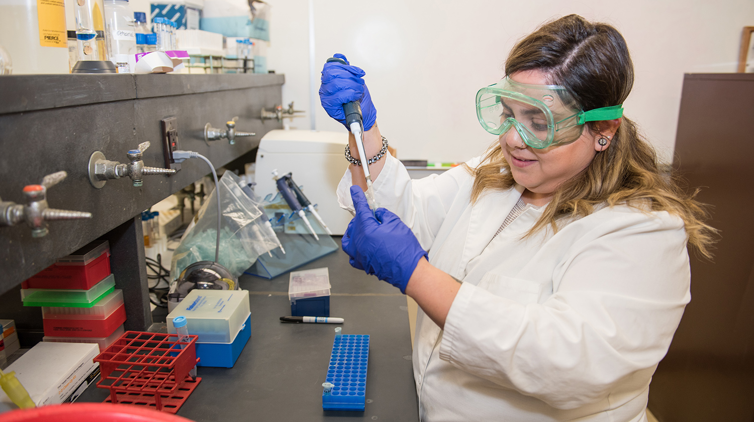 Maria Nava, a cell and molecular biology at CSUDH, participated in the Summer Research Opportunity Program at Purdue University and assisted in research on castration resistant prostate cancer.