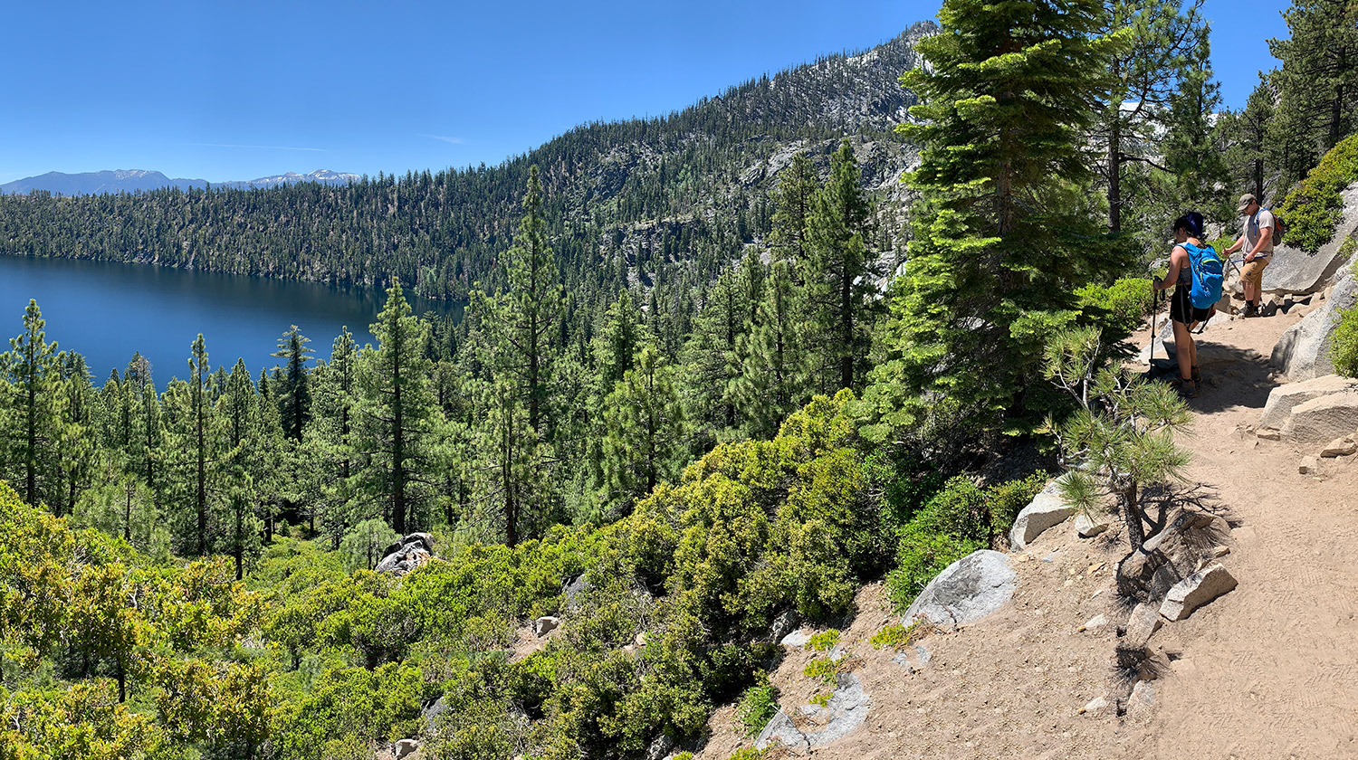 Students from CSUDH’s Tree-Ring Lab do field work in the South Lake Tahoe area in June, 2019.