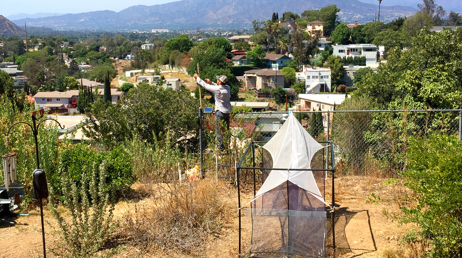 A researcher gathers data from a solar weather station at one of the community test sites. An insect trap can be seen in the foreground.
