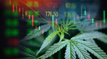 kfi-news-radio-cannabis-industry-research-grant