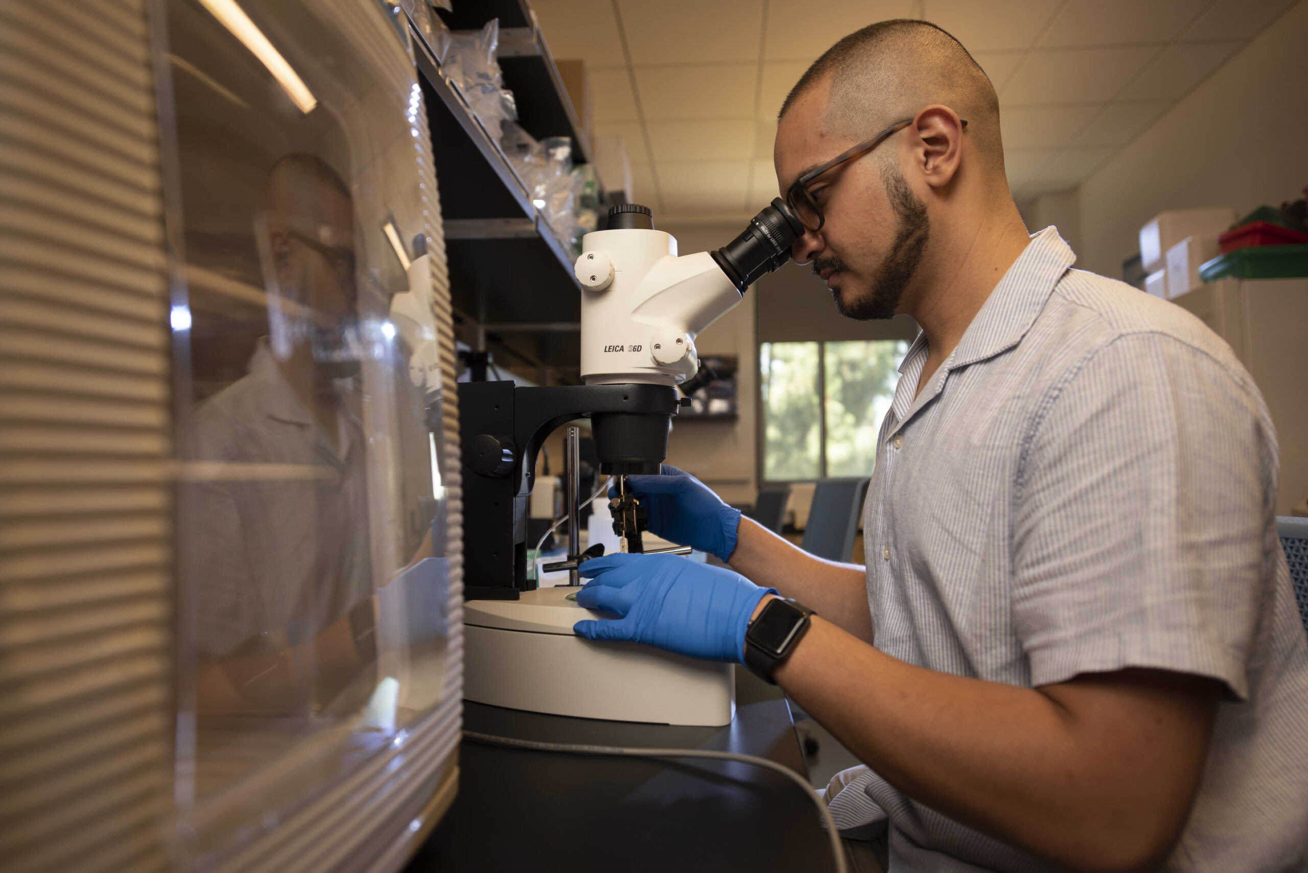 summer research program usyd