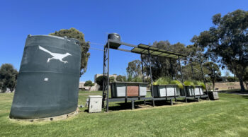 Portable wetland appartus on lawn at CSUDH