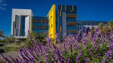 Flowers in foreground, with Innovation & Instruction building in background