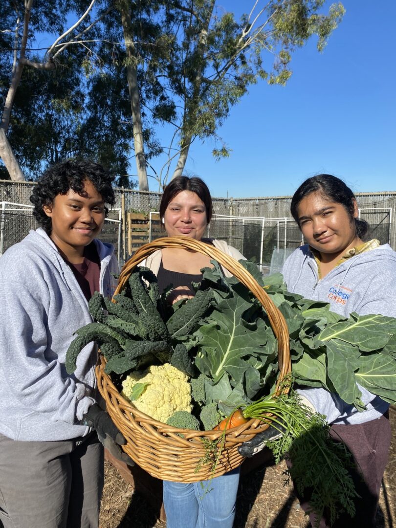 Three students pose with a basket full of vegetables