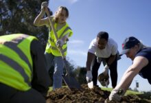 Four people working in soil on campus