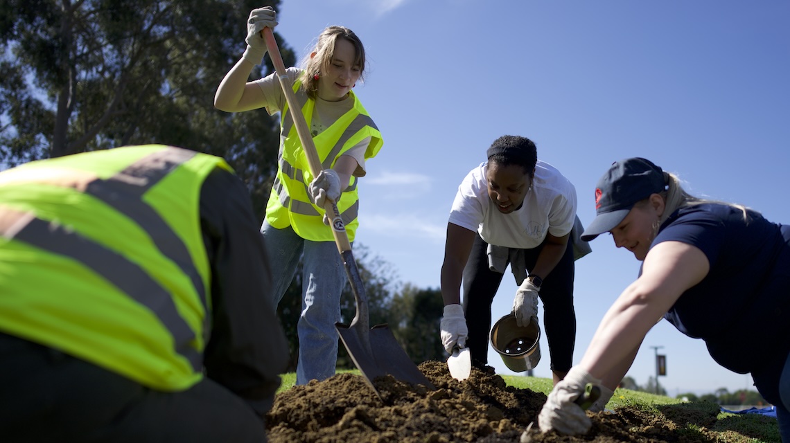 Four people working in soil on campus