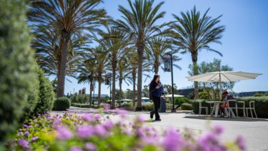 Student walking beneath palm trees on campus.