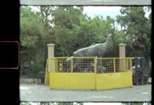 Deer sculpture enclosed by fencing