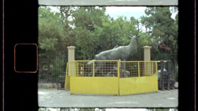 Deer sculpture enclosed by fencing