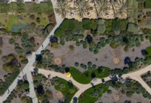 Aerial view of campus landscape