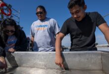 Students touch fish in a tank