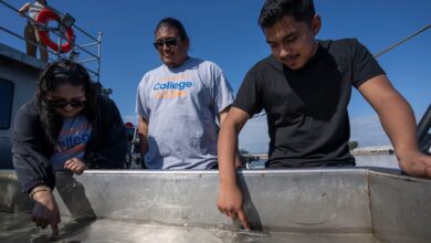 Students touch fish in a tank