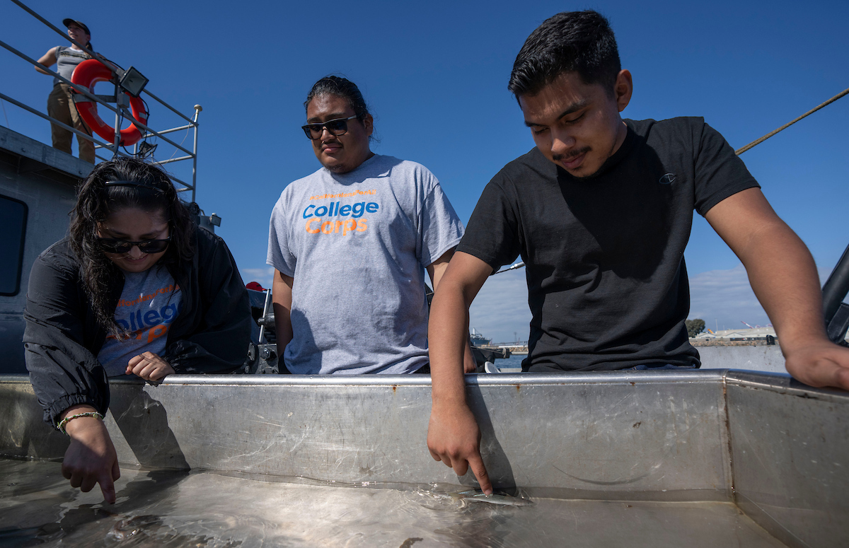 Students touch fish in a tank