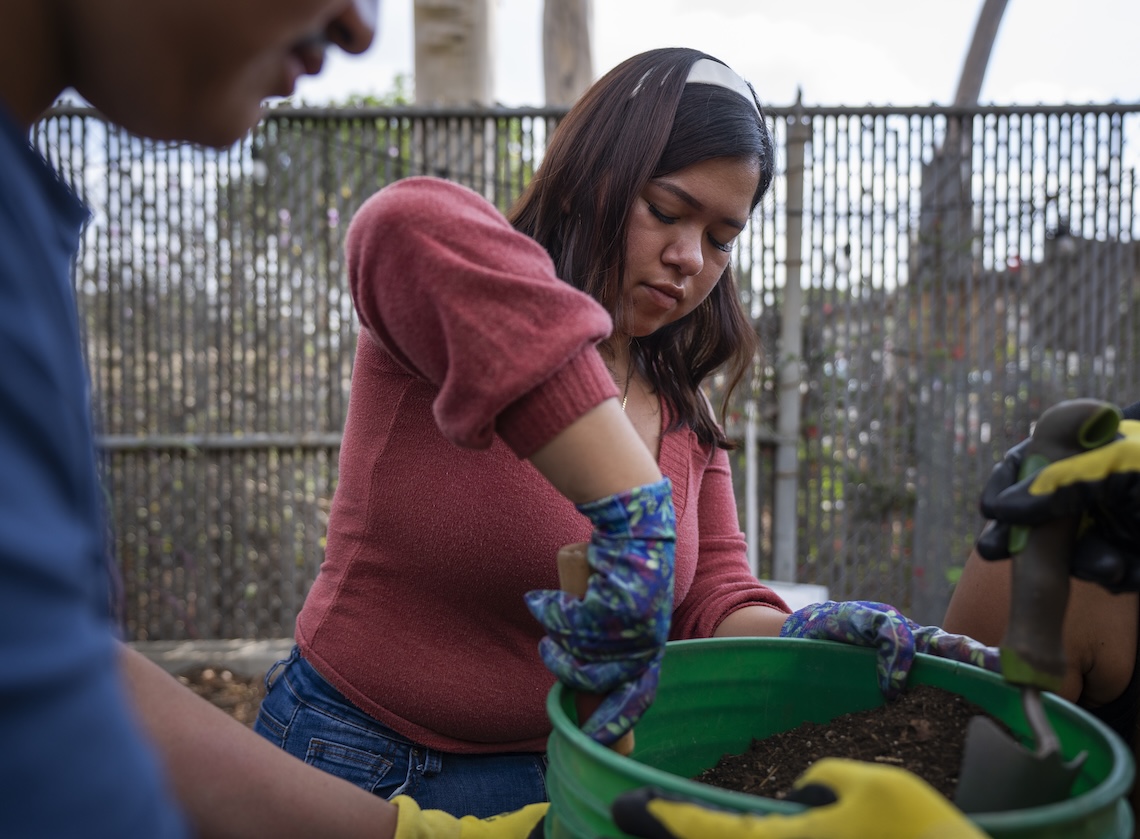 Students working on urban farm