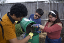 Students working with soil on urban farm