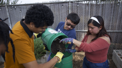 Students working with soil on urban farm